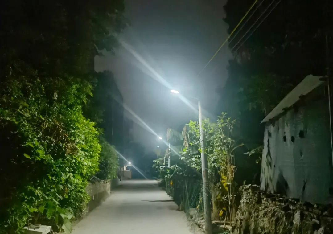 1648607386740220.jpg 1.jpg